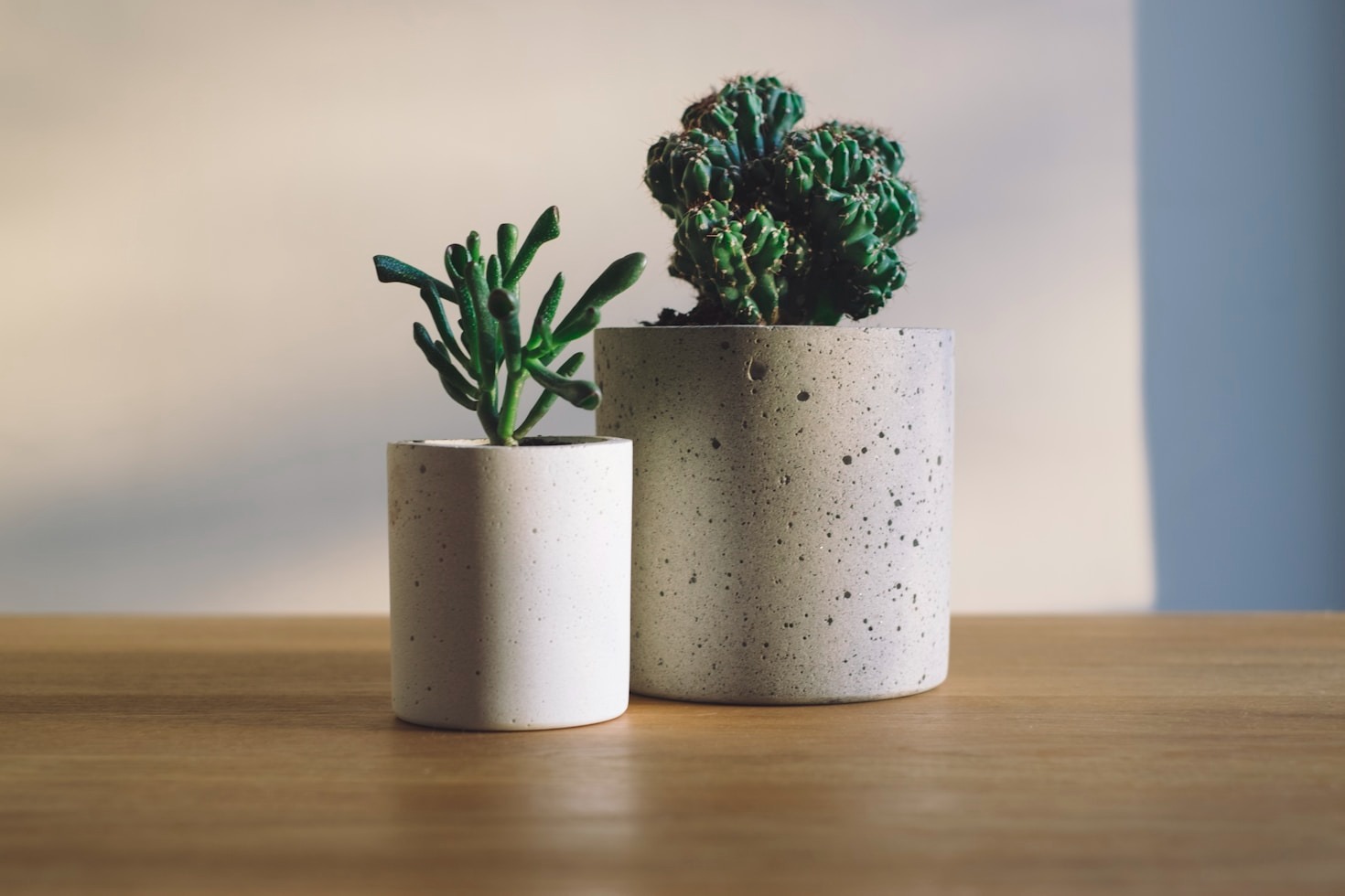 The Benefits of Gardening for Mental Health