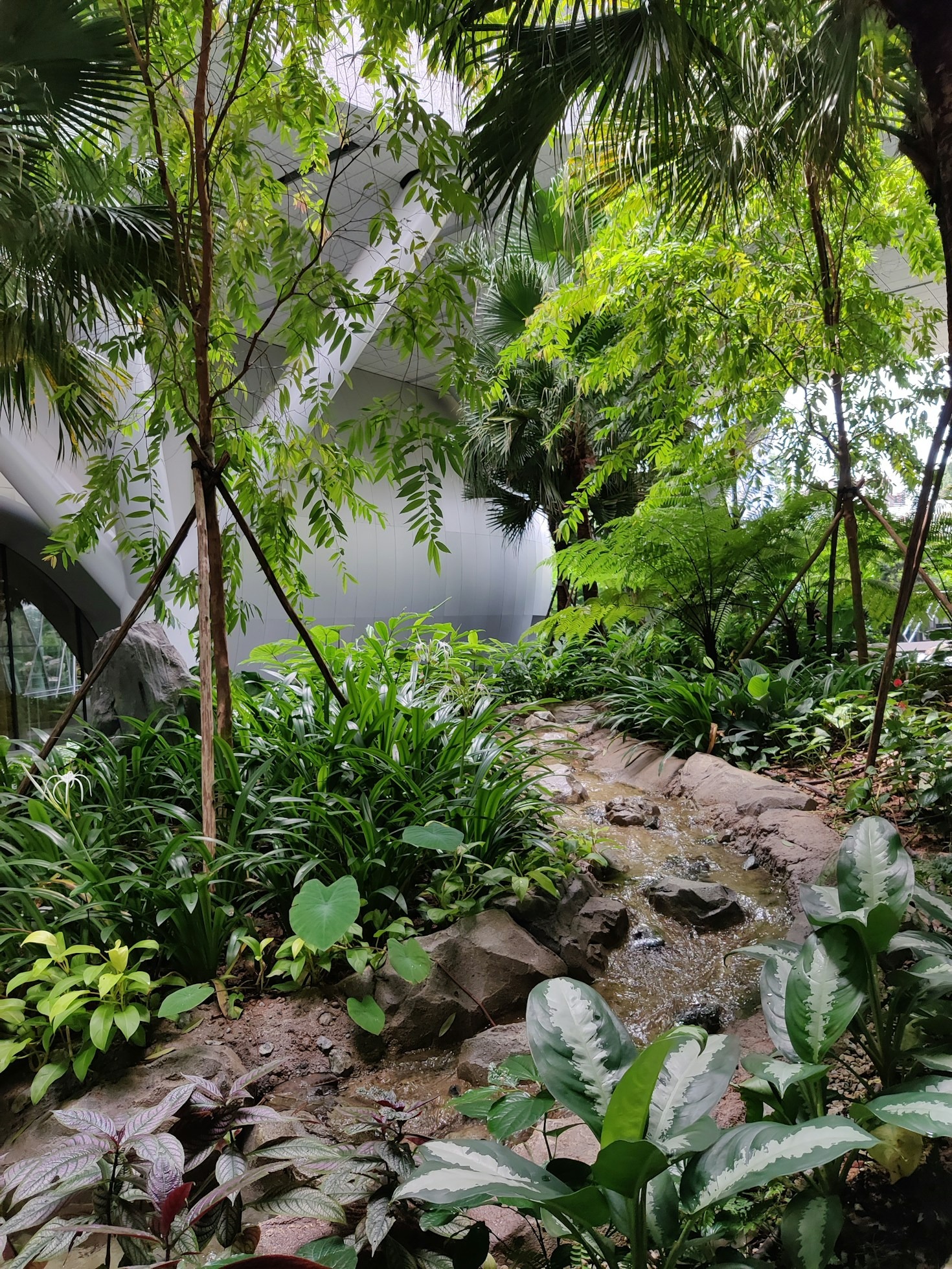 Top Trends in Sustainable Gardening Practices