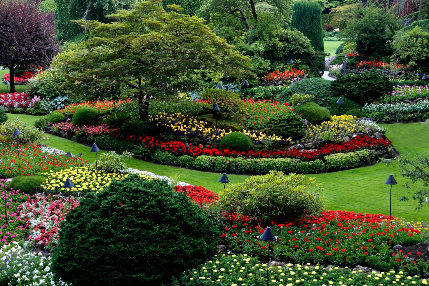 How to Incorporate Nature into Your Home Design