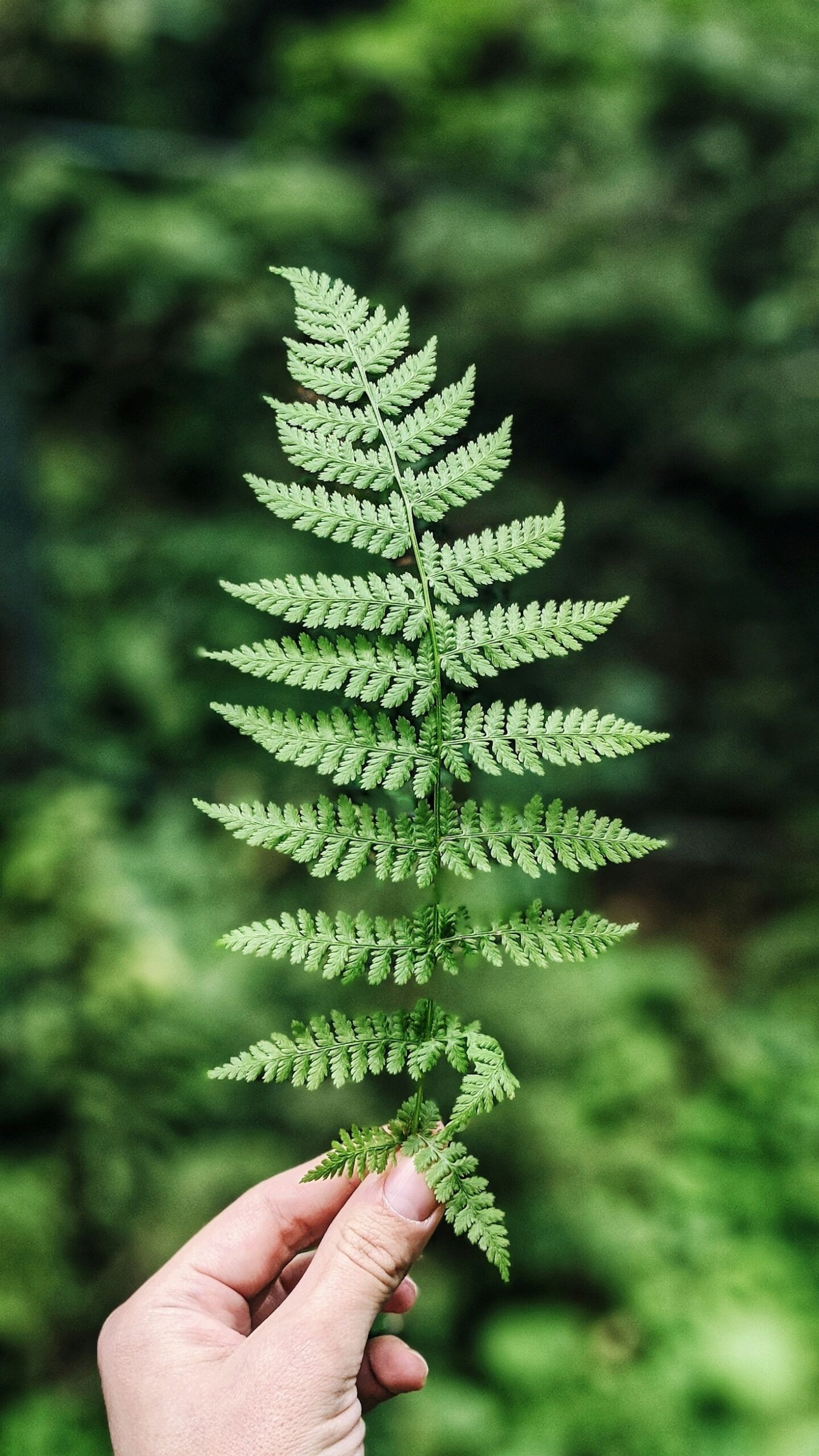10 Lifestyle Changes for a Greener Living