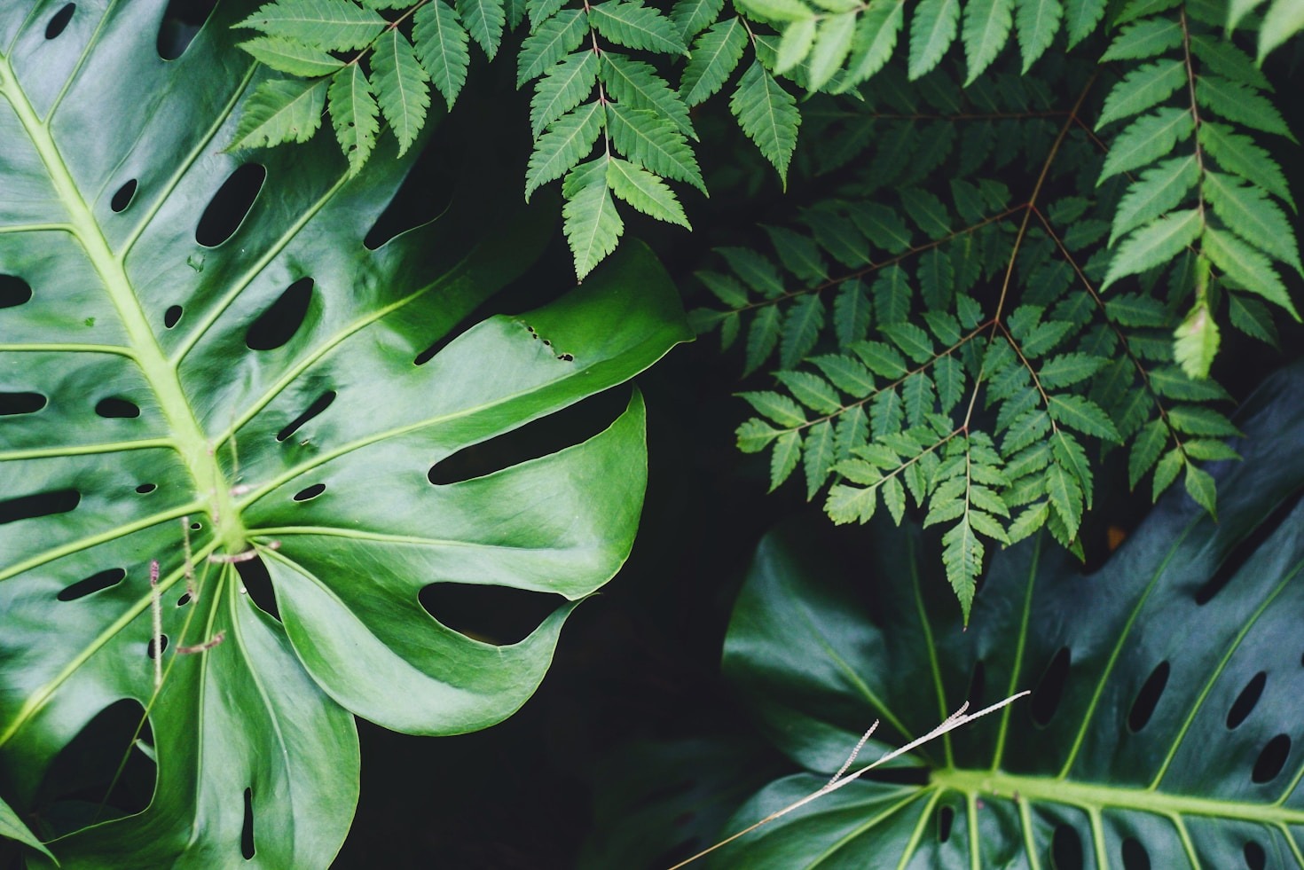 Seasonal Gardening Tips for Every Climate