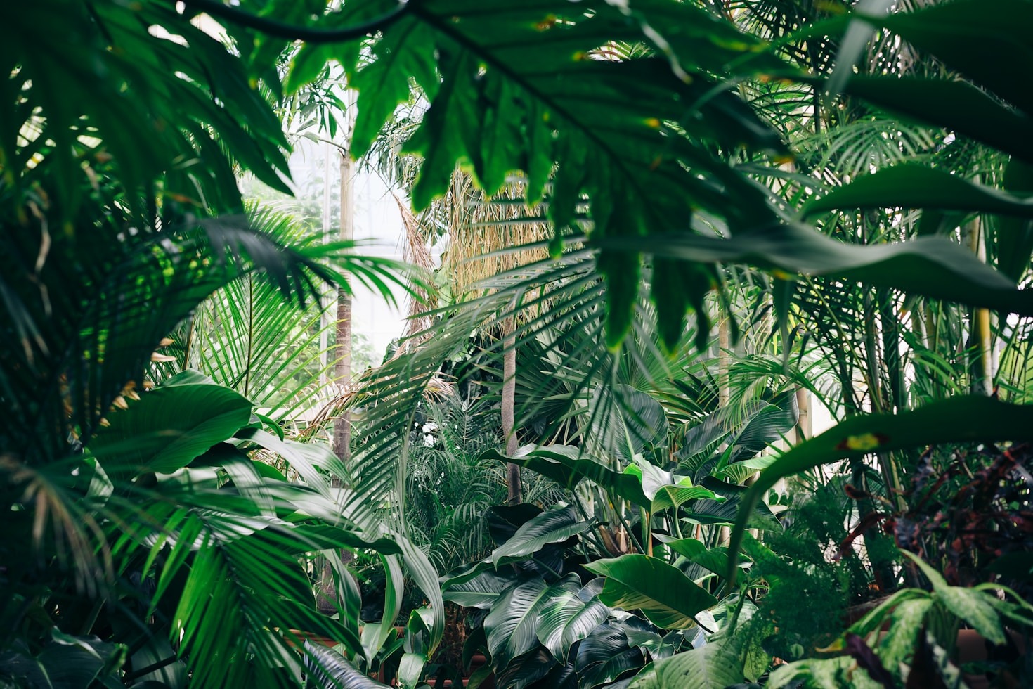 Creating a Balanced Life Through Gardening