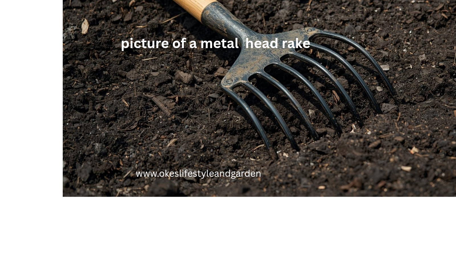 picture of a metal head rake attached to a wooden stick placed on the bed of a dark soil